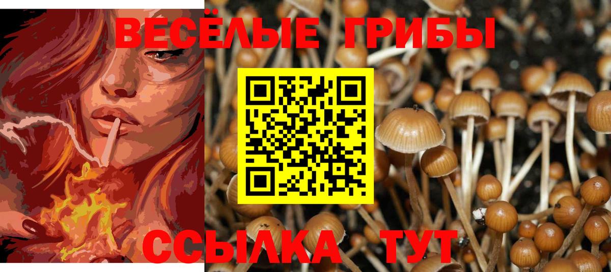 Псилоцибиновые грибы Psilocybine cubensis  Вход с VPN  Лабытнанги 
